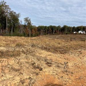 Photo #6 of 325 Elderberry, Lexington, NC 10.5 acres