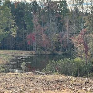 Photo #4 of 325 Elderberry, Lexington, NC 10.5 acres
