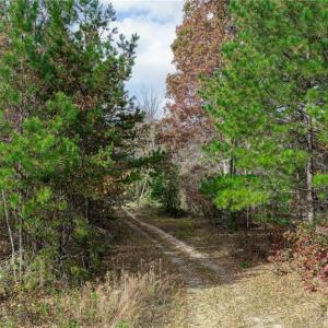 Photo #1 of 898 Sandy Cross, Reidsville, NC 141.8 acres