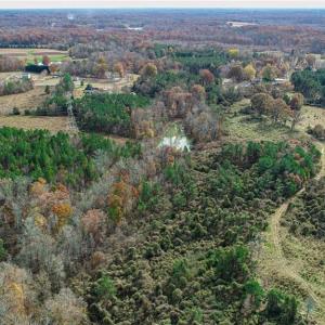 Photo #10 of 898 Sandy Cross, Reidsville, NC 141.8 acres