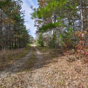 Photo #6 of 898 Sandy Cross, Reidsville, NC 141.8 acres