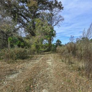 Photo #7 of 898 Sandy Cross, Reidsville, NC 141.8 acres