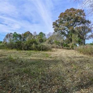 Photo #8 of 898 Sandy Cross, Reidsville, NC 141.8 acres