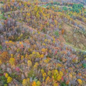 Photo #4 of TBD 4 Mayito, Mouth of Wilson, VA 10.3 acres