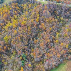 Photo #8 of TBD 4 Mayito, Mouth of Wilson, VA 10.3 acres