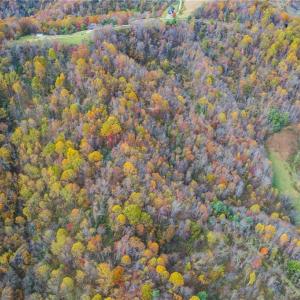 Photo #7 of TBD 4 Mayito, Mouth of Wilson, VA 10.3 acres