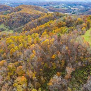 Photo #9 of TBD 4 Mayito, Mouth of Wilson, VA 10.3 acres