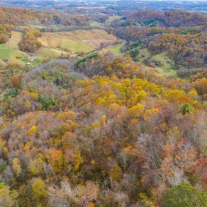 Photo #10 of TBD 4 Mayito, Mouth of Wilson, VA 10.3 acres