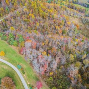 Photo #2 of TBD 3 Mayito, Mouth of Wilson, VA 7.7 acres