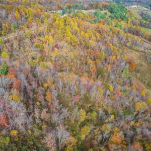 Photo #3 of TBD 3 Mayito, Mouth of Wilson, VA 7.7 acres