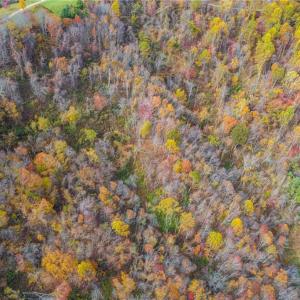 Photo #5 of TBD 3 Mayito, Mouth of Wilson, VA 7.7 acres