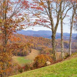 Photo #10 of TBD 3 Mayito, Mouth of Wilson, VA 7.7 acres