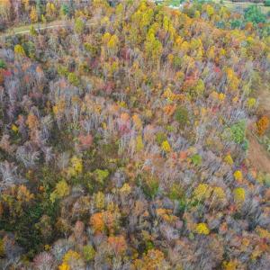 Photo #4 of TBD 3 Mayito, Mouth of Wilson, VA 7.7 acres