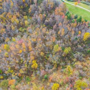 Photo #6 of TBD 2 Mayito, Mouth of Wilson, VA 8.1 acres