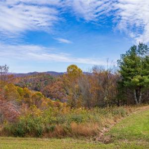 Photo #13 of TBD 2 Mayito, Mouth of Wilson, VA 8.1 acres