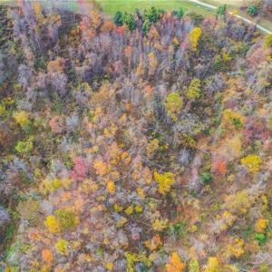 Photo #5 of TBD 2 Mayito, Mouth of Wilson, VA 8.1 acres