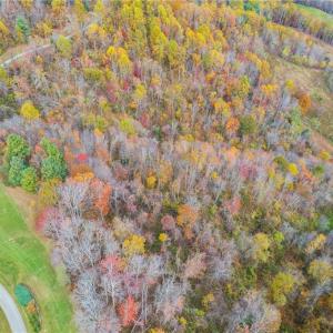 Photo #4 of TBD 2 Mayito, Mouth of Wilson, VA 8.1 acres