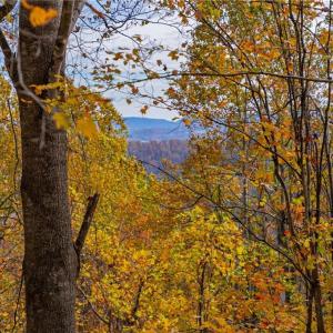 Photo #13 of TBD 1 Mayito, Mouth of Wilson, VA 6.8 acres