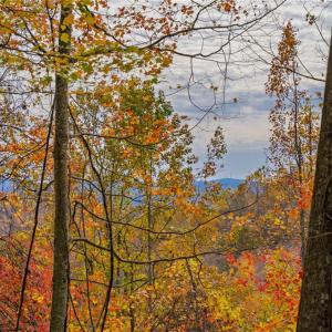 Photo #12 of TBD 1 Mayito, Mouth of Wilson, VA 6.8 acres