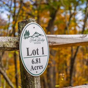 Photo #14 of TBD 1 Mayito, Mouth of Wilson, VA 6.8 acres