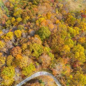 Photo #4 of TBD 1 Mayito, Mouth of Wilson, VA 6.8 acres