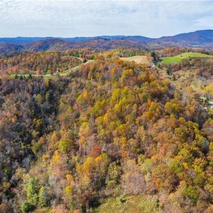 Photo #8 of TBD 1 Mayito, Mouth of Wilson, VA 6.8 acres