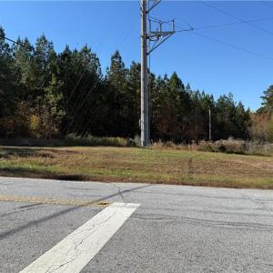 Photo #8 of US HIGHWAY 64, Trinity, NC 160.1 acres