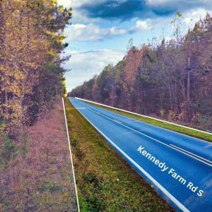 Photo #3 of US HIGHWAY 64, Trinity, NC 160.1 acres