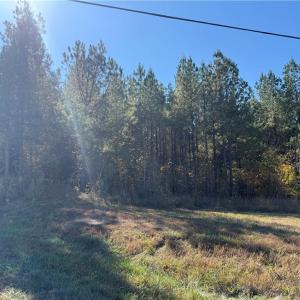 Photo #8 of US HIGHWAY 64, Trinity, NC 160.1 acres