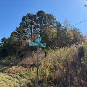 Photo #5 of US HIGHWAY 64, Trinity, NC 160.1 acres