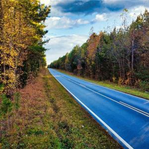 Photo #15 of US HIGHWAY 64, Trinity, NC 160.1 acres