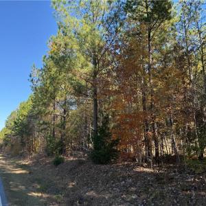 Photo #4 of US HIGHWAY 64, Trinity, NC 160.1 acres