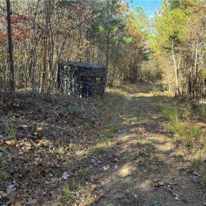 Photo #2 of Park Springs, Providence, NC 66.3 acres