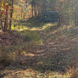 Photo #6 of Park Springs, Providence, NC 66.3 acres