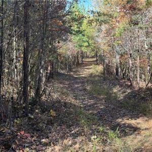 Photo #7 of Park Springs, Providence, NC 66.3 acres