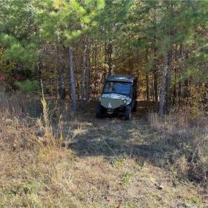 Photo #4 of Park Springs, Providence, NC 66.3 acres