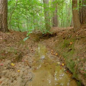 Photo #6 of 9651 Barnett, Concord, NC 6.9 acres