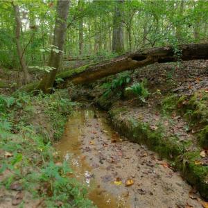 Photo #7 of 9651 Barnett, Concord, NC 6.9 acres