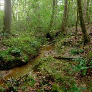 Photo #5 of 9651 Barnett, Concord, NC 6.9 acres