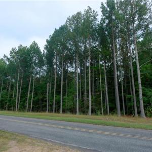 Photo #4 of 9651 Barnett, Concord, NC 6.9 acres