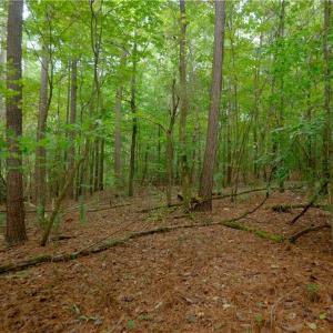 Photo #8 of 9651 Barnett, Concord, NC 6.9 acres