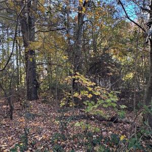 Photo #6 of 480 Avenue I, Lexington, NC 0.2 acres