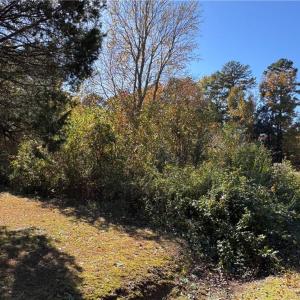 Photo #4 of 480 Avenue I, Lexington, NC 0.2 acres