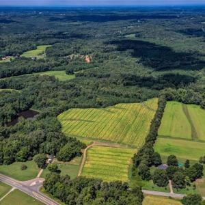 Photo #2 of NC Highway 150, Reidsville, NC 66.0 acres