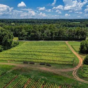 Photo #6 of NC Highway 150, Reidsville, NC 66.0 acres