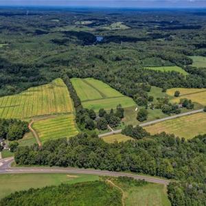 Photo #12 of NC Highway 150, Reidsville, NC 66.0 acres