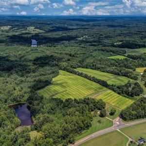 Photo #3 of NC Highway 150, Reidsville, NC 66.0 acres