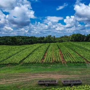 Photo #1 of NC Highway 150, Reidsville, NC 66.0 acres