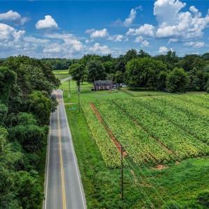 Photo #5 of NC Highway 150, Reidsville, NC 66.0 acres