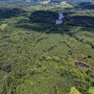 Photo #10 of NC Highway 150, Reidsville, NC 66.0 acres